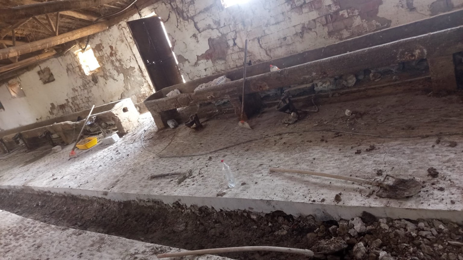 Ahır içinde beton zeminde kanal uygulaması.